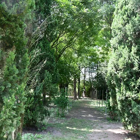 Navagero - Ca' Degli Stefani C *