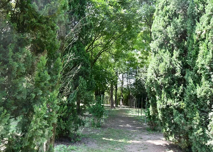 Navagero - Ca' Degli Stefani C *